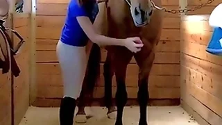Multi Porn Videos 2